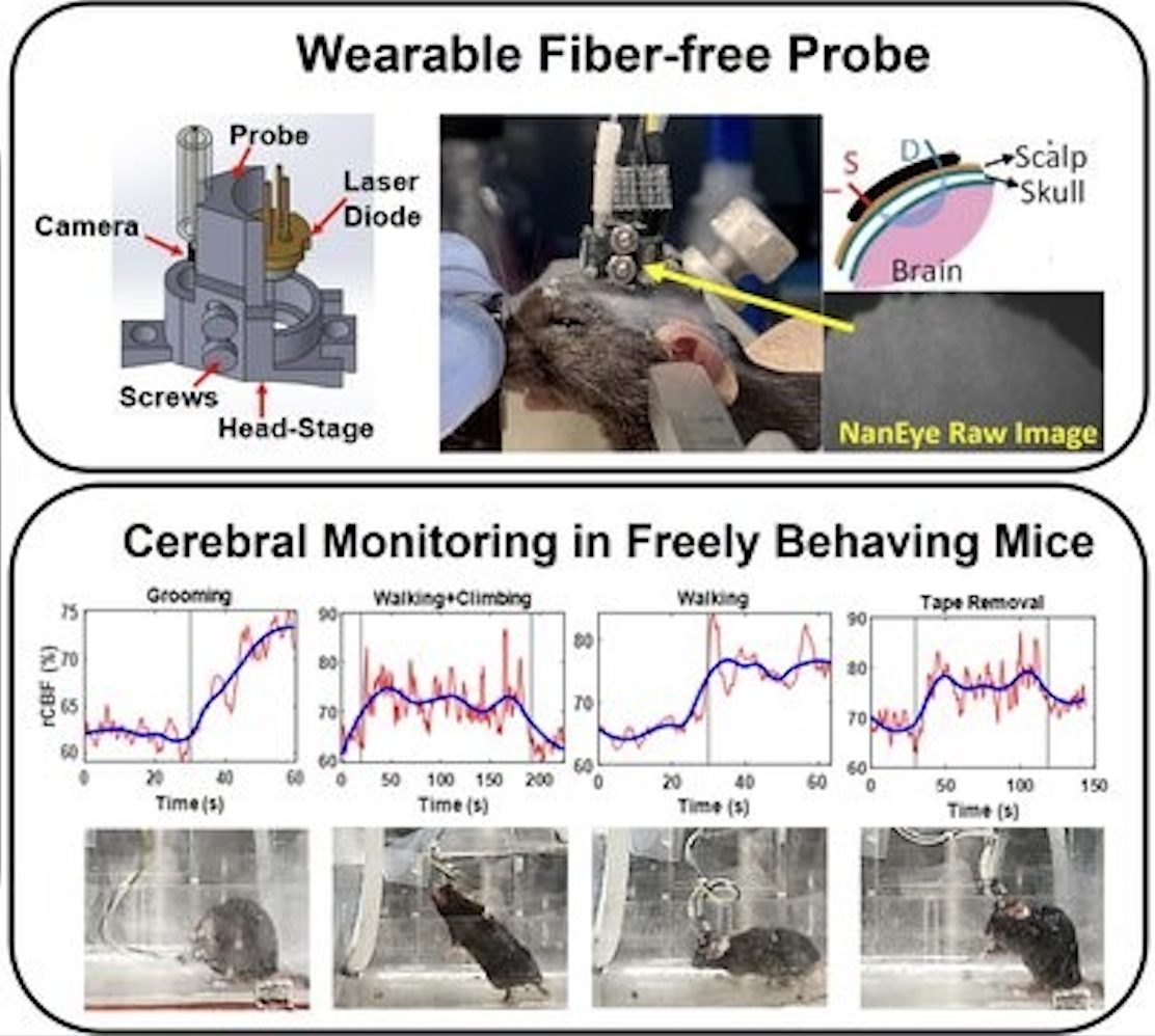 latest research papers on biomedical engineering